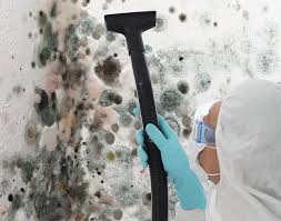 Reliable Fallsburg, NY Mold Inspection Solutions